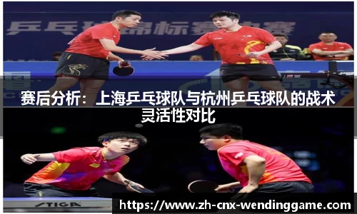 赛后分析：上海乒乓球队与杭州乒乓球队的战术灵活性对比